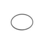 VN500/2000 - O-Ring For Filter Base