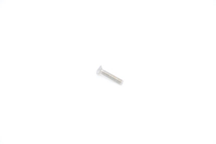 VN(G) - Stainless Steel Screw M4x20