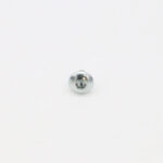 SDR - Screw For Plastic Cover