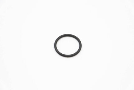 DW - O-Ring 4131