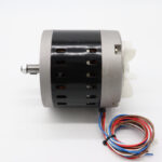 MSM5 - Motor #29