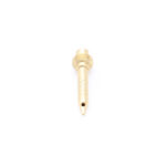 PILOT FLAME INJECTOR 0.25 MM - Lpg
